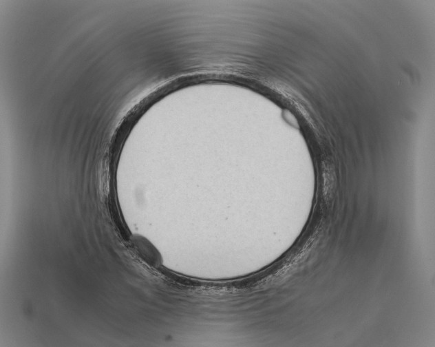 X0000111921069200909071212