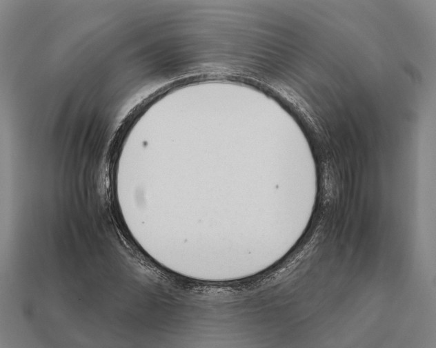 X0000111921070200909071212