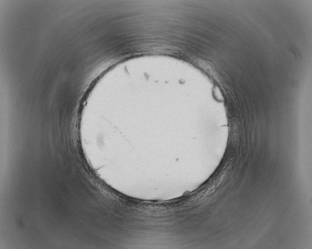 X0000111921071200909071212