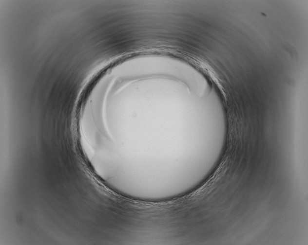 X0000111921072200909071212