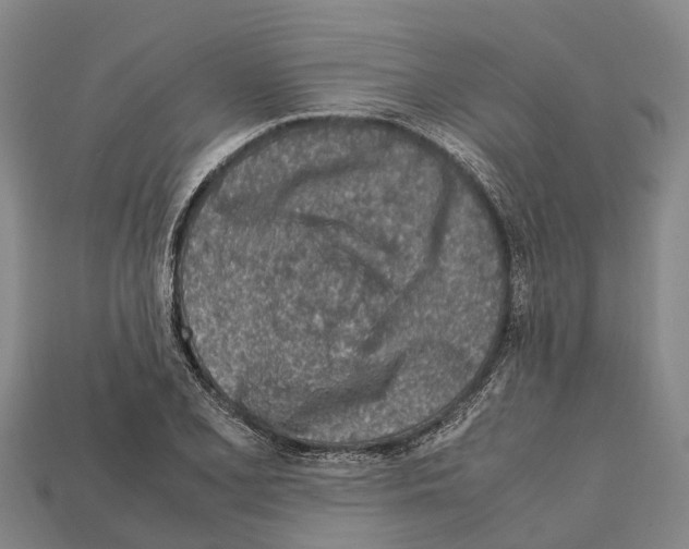 X0000111921077200909071212