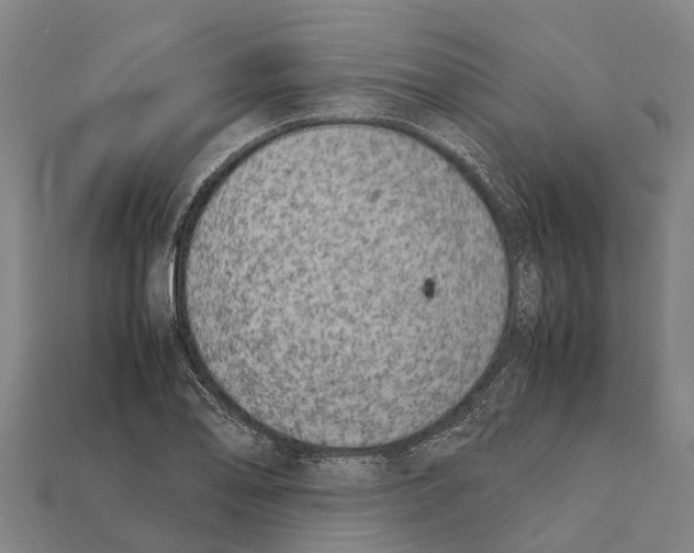 X0000111921078200909071212