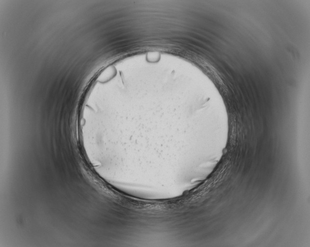 X0000111921080200909071212