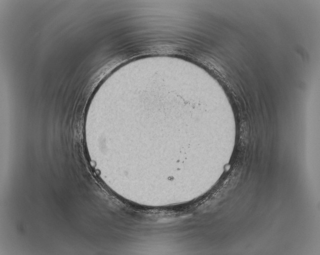 X0000111921081200909071212