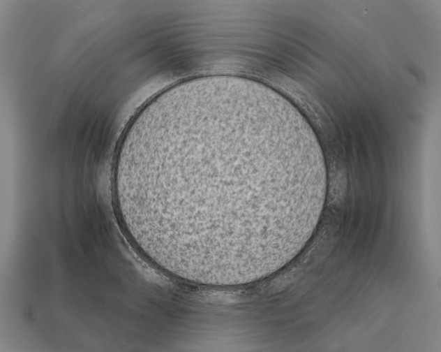 X0000111921086200909071212