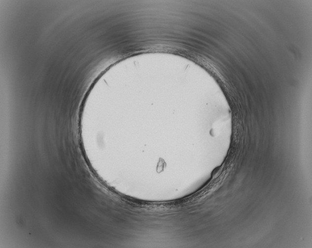 X0000111921087200909071212