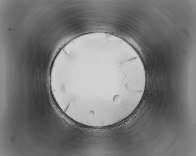 X0000111921088200909071212