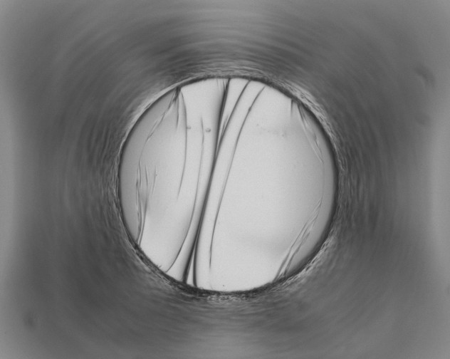 X0000111921089200909071212