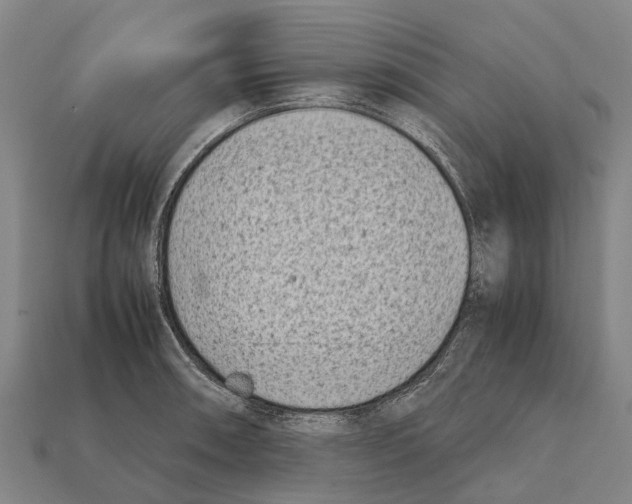 X0000111921090200909071212