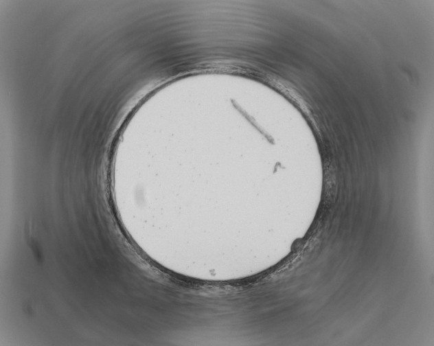 X0000111921091200909071212