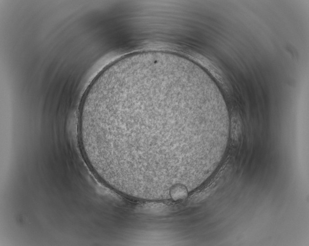 X0000111921094200909071212