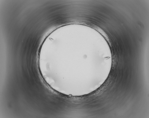 X0000111921096200909071212