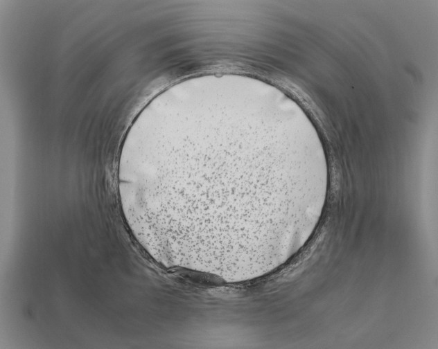 X0000111921097200909071212