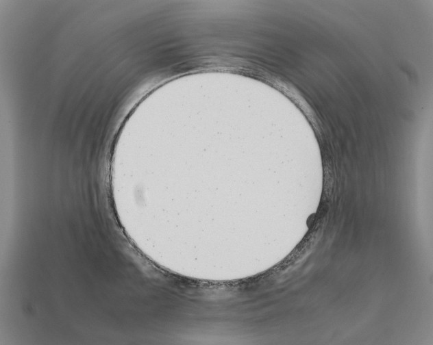 X0000111921099200909071212