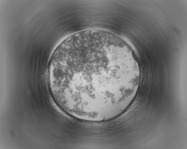 X0000111921100200909071212