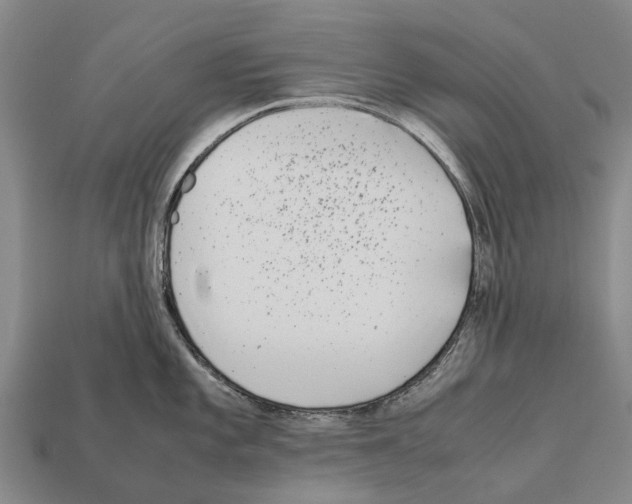 X0000111921101200909071212