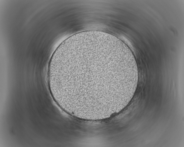 X0000111921103200909071212