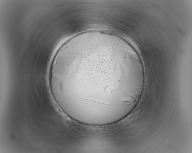 X0000111921104200909071212