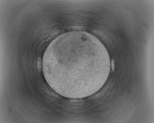 X0000111921107200909071211