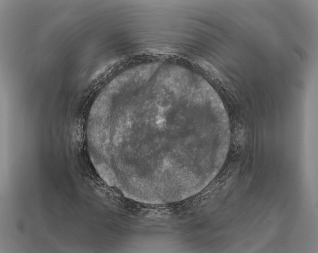 X0000111921110200909071211