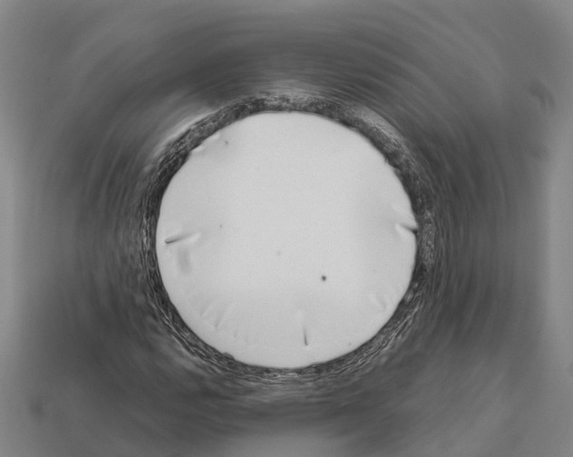 X0000111921112200909071211