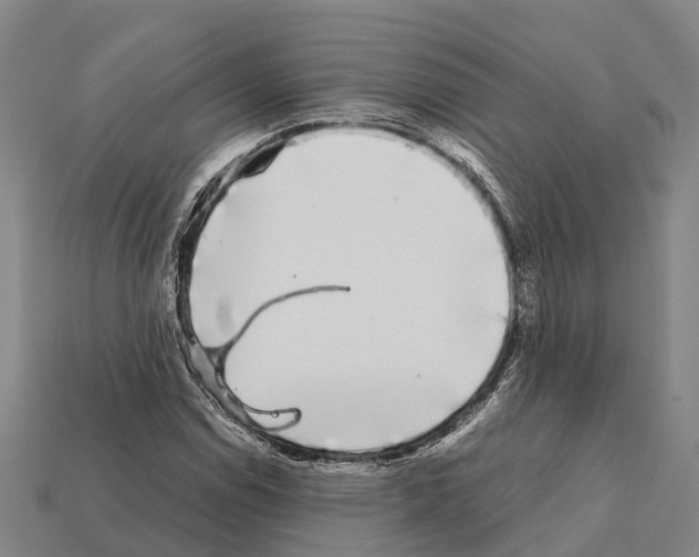 X0000111921114200909071211