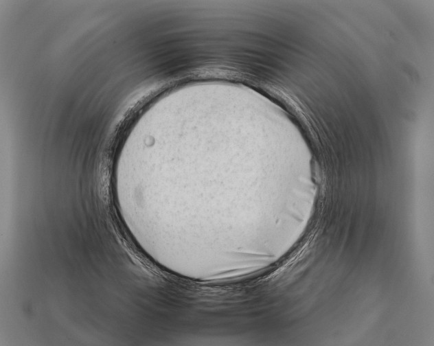 X0000111921115200909071211