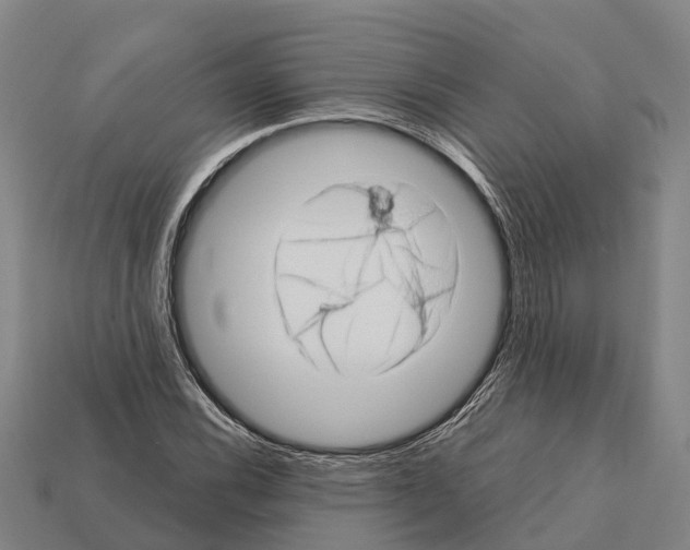 X0000111921116200909071211