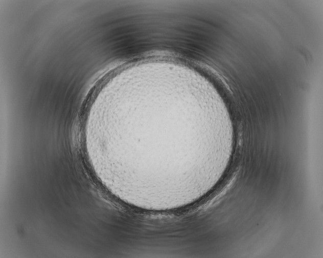 X0000111921117200909071211