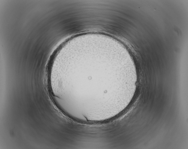 X0000111921118200909071211