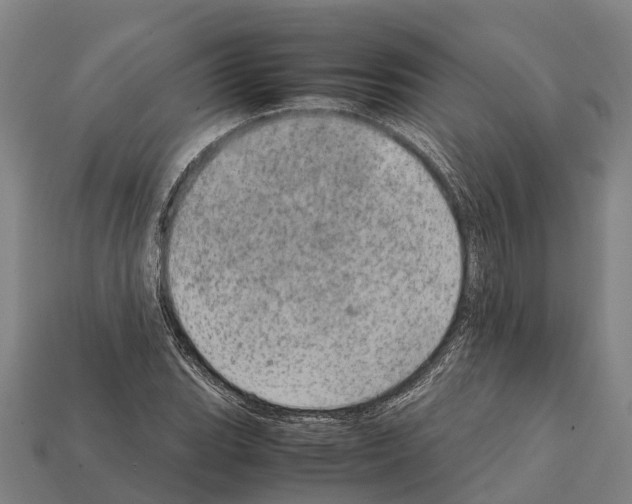 X0000111921119200909071211