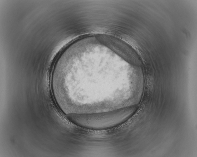 X0000111921120200909071211