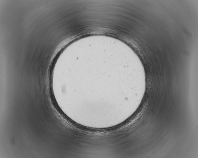 X0000111921122200909071211