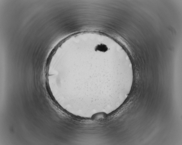 X0000111921124200909071211