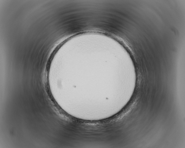 X0000111921125200909071211