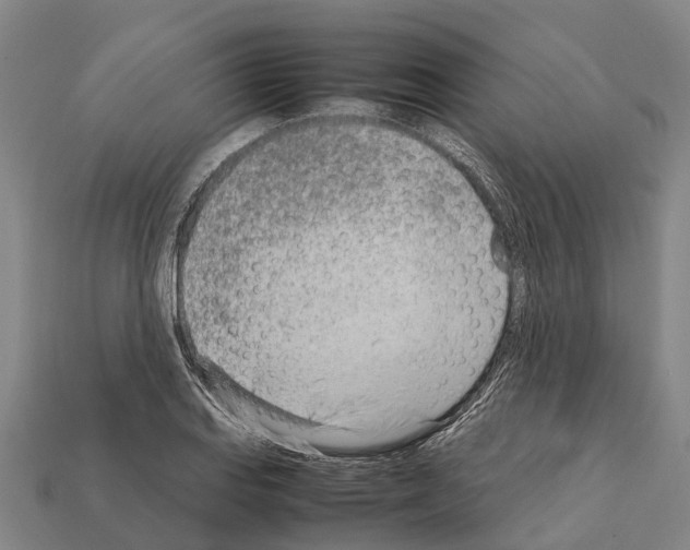 X0000111921127200909071212