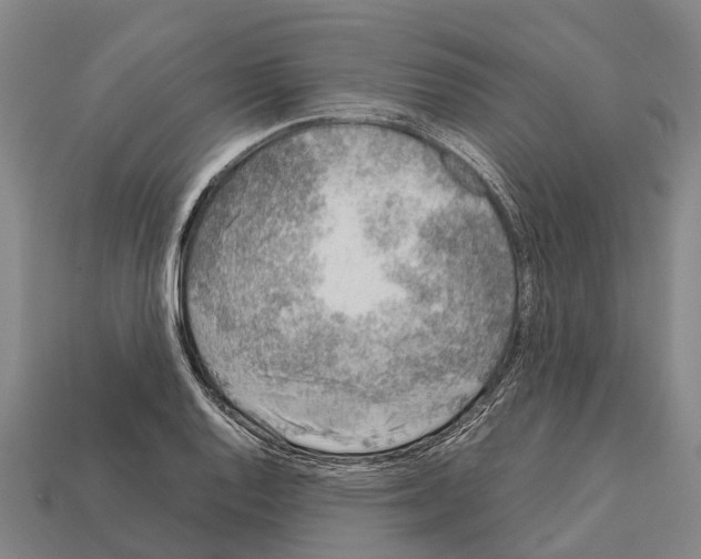 X0000111921128200909071212