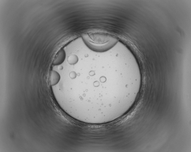 X0000111921129200909071212