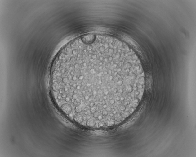 X0000111921130200909071212