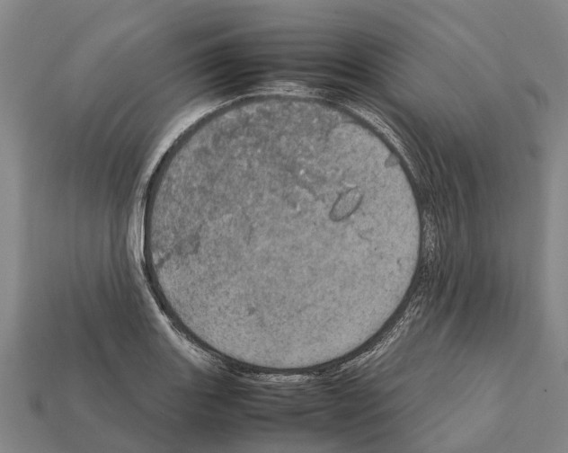 X0000111921131200909071212