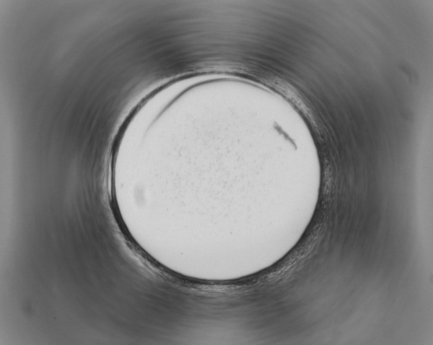 X0000111921132200909071212