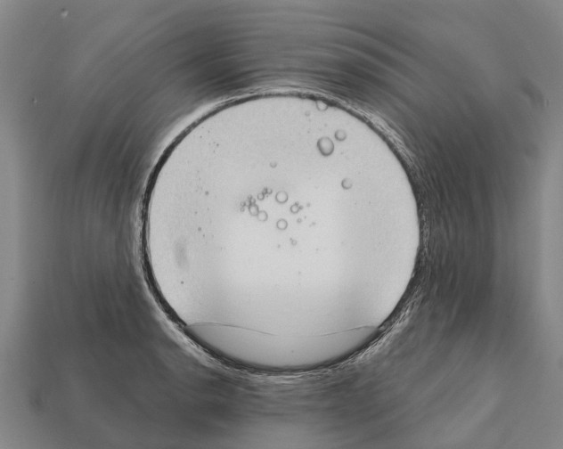 X0000111921134200909071212