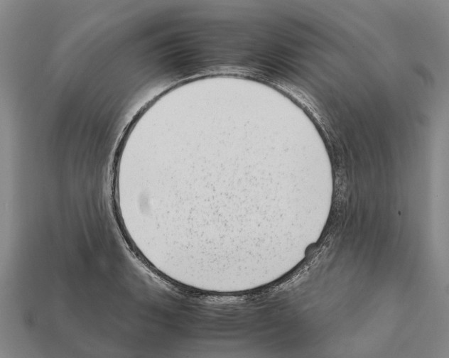 X0000111921135200909071212