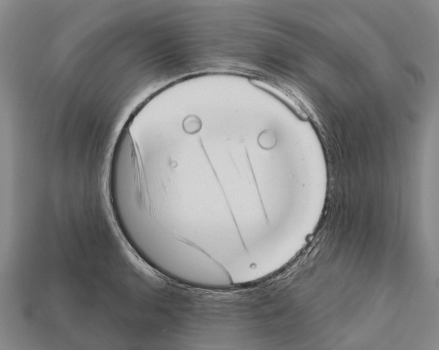 X0000111921136200909071212