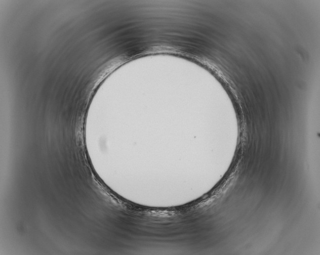 X0000111921137200909071212