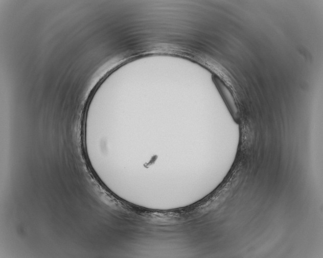 X0000111921138200909071212