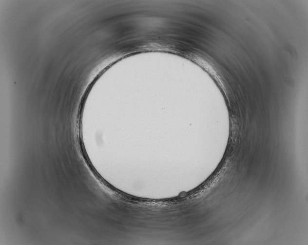 X0000111921141200909071212