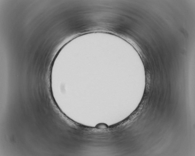 X0000111921142200909071212