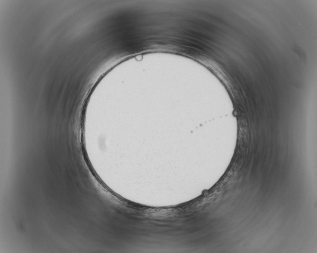 X0000111921143200909071212