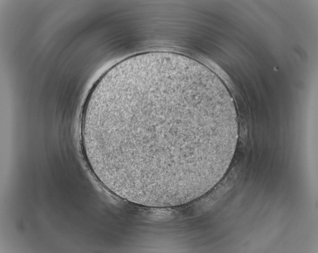 X0000111921144200909071212